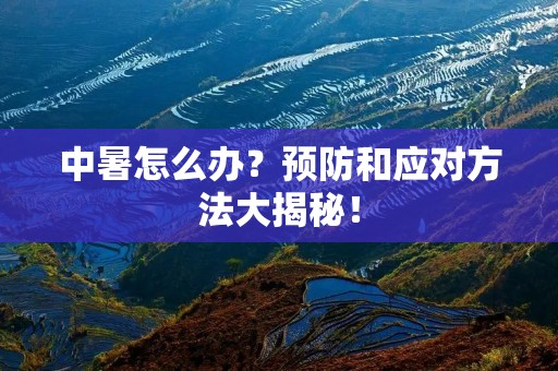 中暑怎么办?预防和应对方法大揭秘! 中暑怎么办?预防和应对方法大揭秘!
