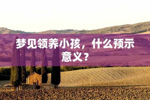 梦见领养小孩，什么预示意义？