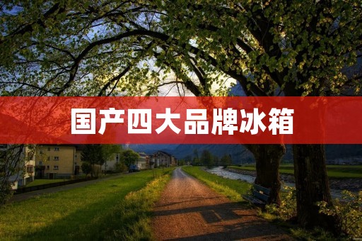 国产四大品牌冰箱:海尔、美的、格力、容声 国产四大品牌冰箱:海尔、美的、格力、容声
