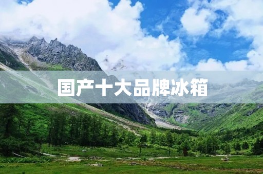 国产十大品牌冰箱:高品质的选择 国产十大品牌冰箱:高品质的选择