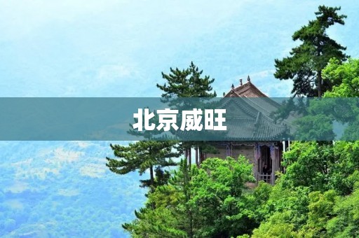 北京威旺:中国自主品牌汽车的新贵 北京威旺:中国自主品牌汽车的新贵