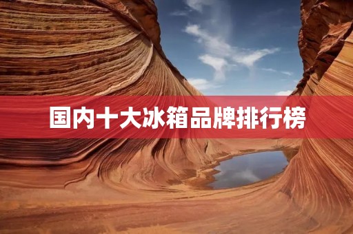 国内十大冰箱品牌排行榜 国内十大冰箱品牌排行榜