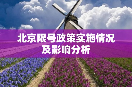 北京限号政策实施情况及影响分析