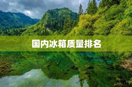 国内冰箱质量排名 国内冰箱质量排名