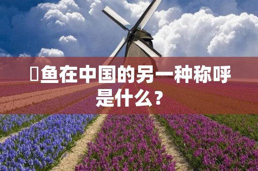 鳀鱼在中国的另一种称呼是什么?