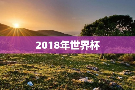 2018年世界杯:历史上最精彩的足球盛宴 2018年世界杯:历史上最精彩的足球盛宴