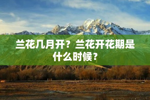 兰花几月开?兰花开花期是什么时候?