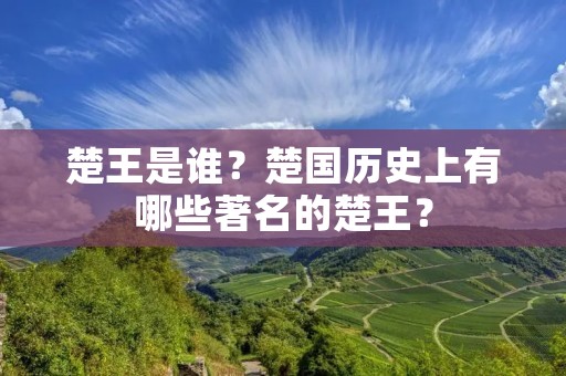 楚王是谁?楚国历史上有哪些著名的楚王? 楚王是谁?楚国历史上有哪些著名的楚王?