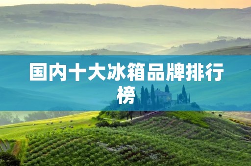 国内十大冰箱品牌排行榜 国内十大冰箱品牌排行榜