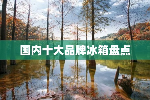 国内十大品牌冰箱盘点 国内十大品牌冰箱盘点