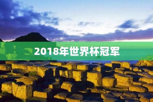 2018年世界杯冠军：法国！