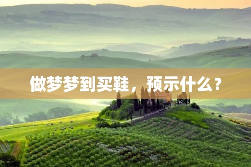 做梦梦到买鞋,预示什么?