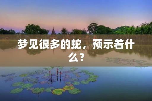 梦见很多的蛇,预示着什么?
