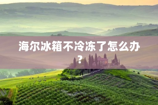 海尔冰箱不冷冻了怎么办？