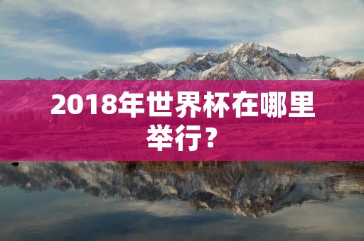2018年世界杯在哪里举行？