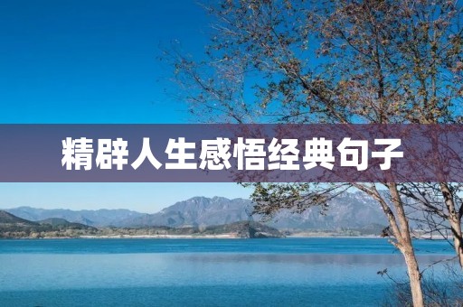 精辟人生感悟经典句子 精辟人生感悟经典句子