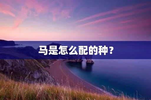 马是怎么配的种?