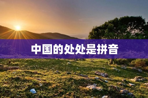 中国的处处是拼音：探寻中文拼音之美