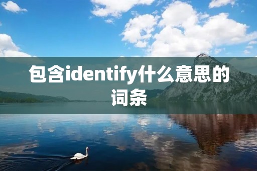 包含identify什么意思的词条