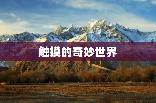 触摸的奇妙世界 触摸的奇妙世界