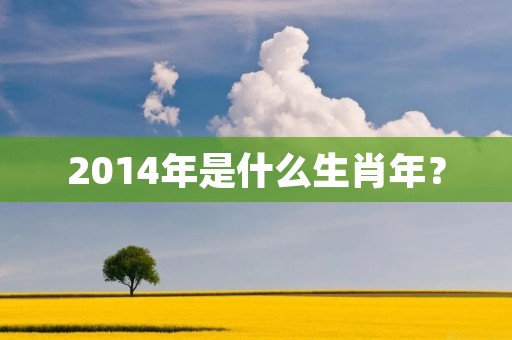 2014年是什么生肖年?