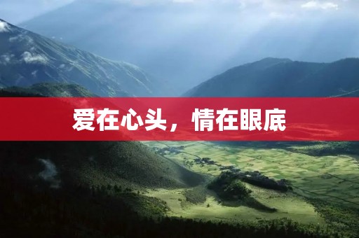 爱在心头，情在眼底