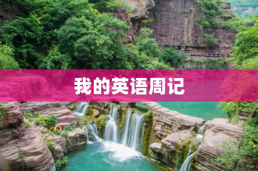 我的英语周记 我的英语周记