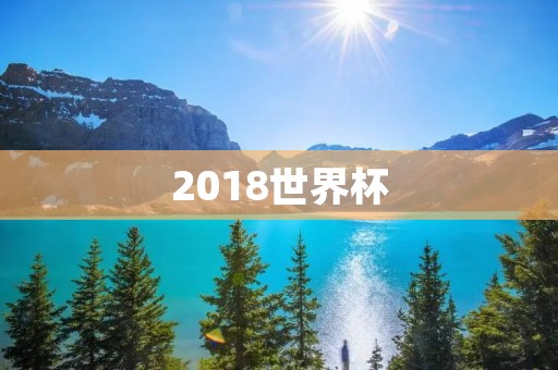 2018世界杯:历经辛劳,终于等来了这一刻 2018世界杯:历经辛劳,终于等来了这一刻