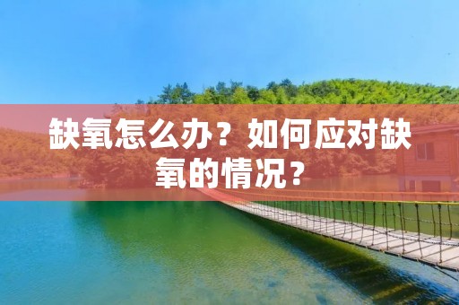 缺氧怎么办?如何应对缺氧的情况? 缺氧怎么办?如何应对缺氧的情况?