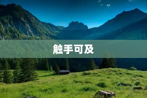 触手可及:数字化时代的信息获取与利用 触手可及:数字化时代的信息获取与利用