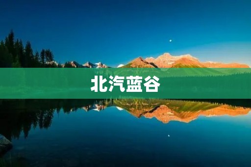 北汽蓝谷：电动汽车领域的新秀
