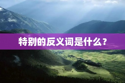 特别的反义词是什么？