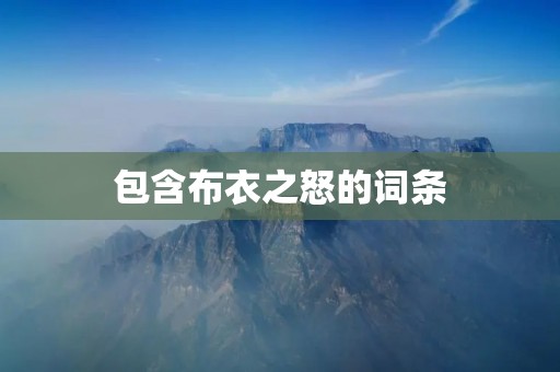 包含布衣之怒的词条