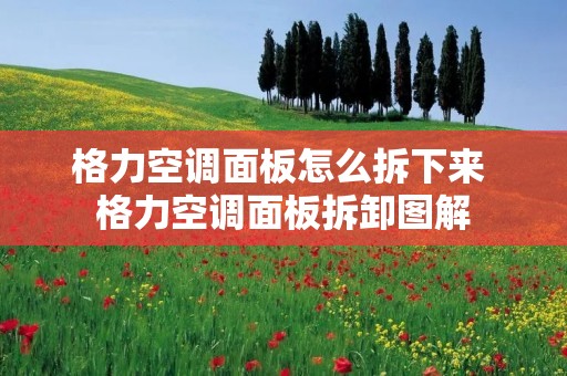 格力空调面板怎么拆下来 格力空调面板拆卸图解 格力空调面板怎么拆下来 格力空调面板拆卸图解