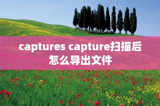 captures capture扫描后怎么导出文件