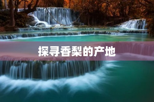 探寻香梨的产地