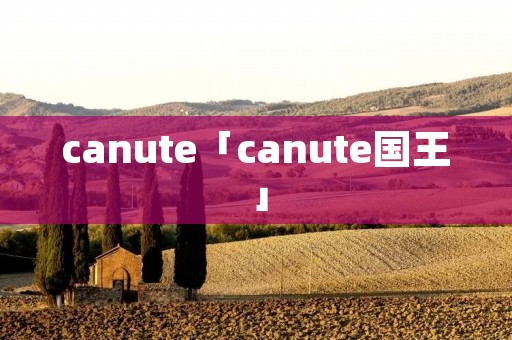 canute「canute国王」 canute「canute国王」