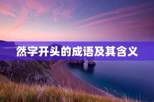 然字开头的成语及其含义 然字开头的成语及其含义