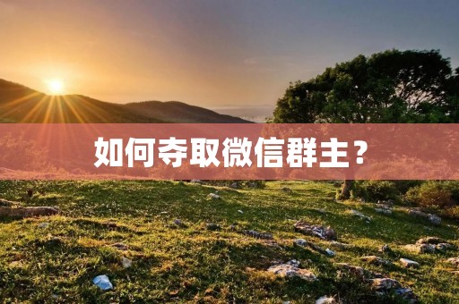 如何夺取微信群主? 如何夺取微信群主?