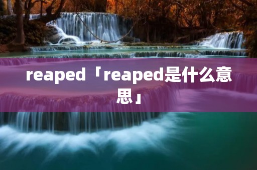 reaped「reaped是什么意思」