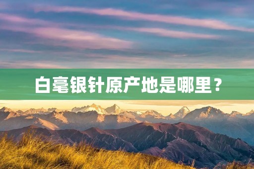 白毫银针原产地是哪里?