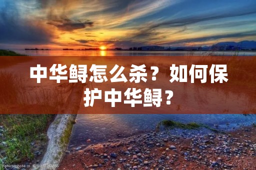 中华鲟怎么杀?如何保护中华鲟?