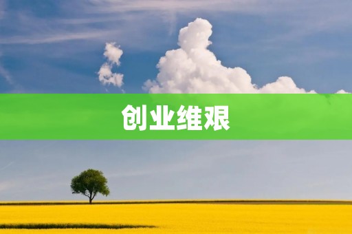 创业维艰:如何在竞争激烈的市场中生存 创业维艰:如何在竞争激烈的市场中生存