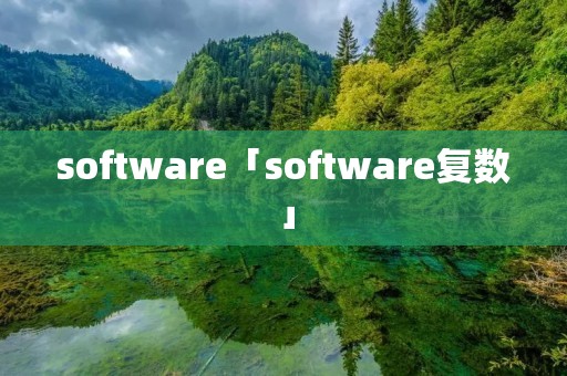 software「software复数」 software「software复数」