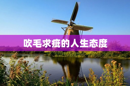 吹毛求疵的人生态度 吹毛求疵的人生态度