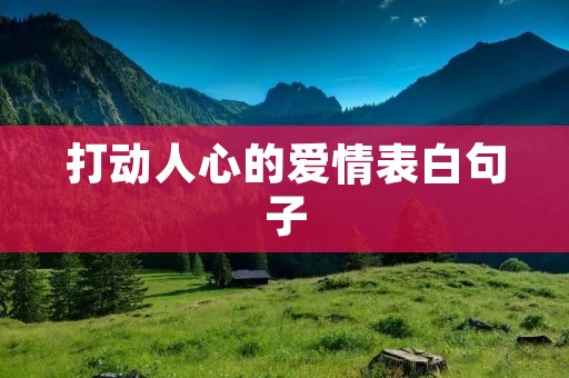 打动人心的爱情表白句子