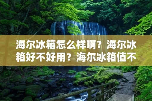 海尔冰箱怎么样啊?海尔冰箱好不好用?海尔冰箱值不值得购买? 海尔冰箱怎么样啊?海尔冰箱好不好用?海尔冰箱值不值得购买?