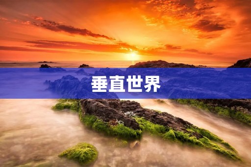 垂直世界:探索垂直线上的各种可能 垂直世界:探索垂直线上的各种可能