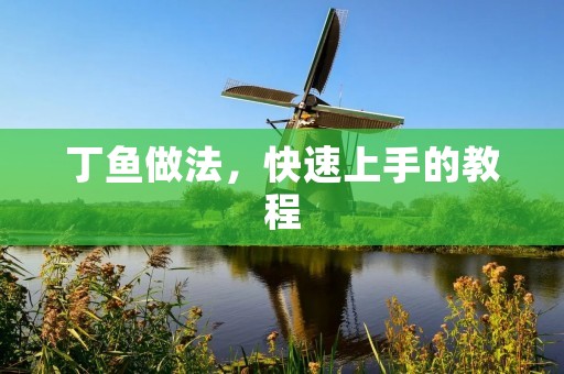 丁鱼做法，快速上手的教程
