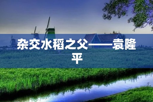 杂交水稻之父——袁隆平